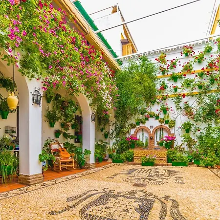 P Encantos De Almavir